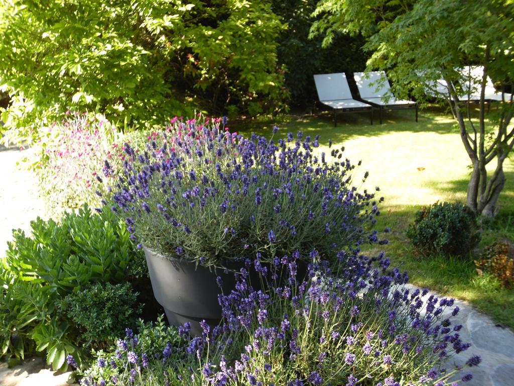 Bed & Breakfast La Clepsydre Fontenay-aux-Roses Esterno foto